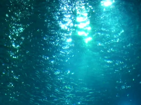 Deep Blue Stock Footage 490325