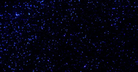 Deep Blue Glitter Loop. Stock Footage 323709459