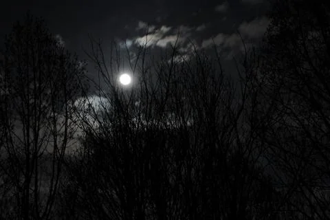 Deep Blue Moon Stock Photos