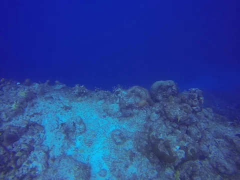 Deep Blue Ocean Stock Footage 101450921