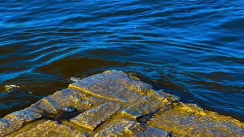 Deep blue ocean water gently reflecting sunlight beside a rocky shoreline. Stock Footage 306960274