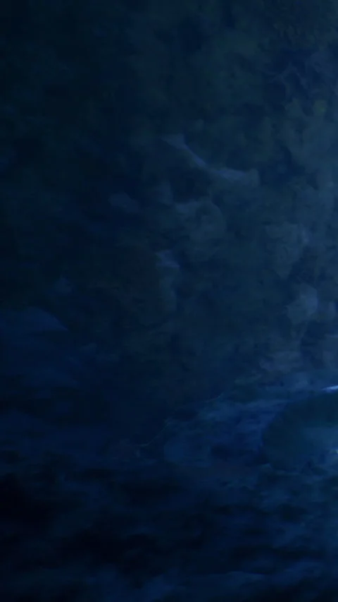 Deep blue ocean waves dance under a twilight sky filled with mystery and calm Video stock 334209412