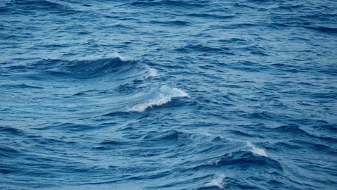 Deep Blue Ocean Waves Rolling Across Open Sea with White Foam Crests. Vídeos de archivo 341991990