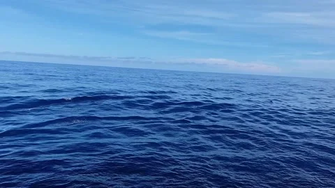 Deep blue ocean waves rolling under a vast sky footage motion Stock Footage 344368954