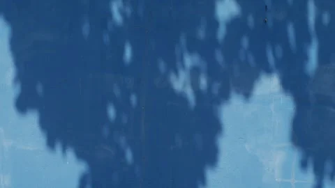 Deep Blue Painted Wall Texture with Dappled Leaf Shadow Pattern Stock Footage 342050386