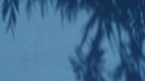 Deep Blue Painted Wall Texture with Dappled Leaf Shadow Pattern Stock Footage 342050408