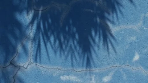 Deep Blue Painted Wall Texture with Dappled Leaf Shadow Pattern Stock Footage 342302798