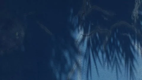 Deep Blue Painted Wall Texture with Dappled Leaf Shadow Pattern Stock Footage 342786359
