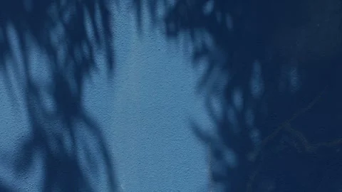 Deep Blue Painted Wall Texture with Dappled Leaf Shadow Pattern Stock Footage 343609819
