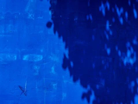 Deep Blue Painted Wall Texture with Dappled Leaf Shadow Pattern Stock Photos