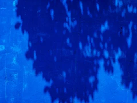 Deep Blue Painted Wall Texture with Dappled Leaf Shadow Pattern Stock Photos