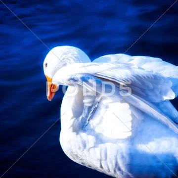 Deep Blue Stock Photos