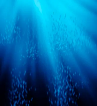 Deep blue sea. environment concept Stock Photos