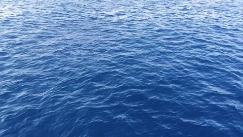 Deep blue sea Видео 78243648