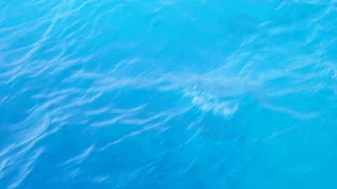 Deep Blue Sea Stock Footage 129331591