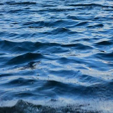 Deep Blue Sea 스톡 사진