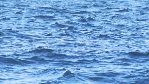 Deep blue sea surface. Stock Footage 119759379