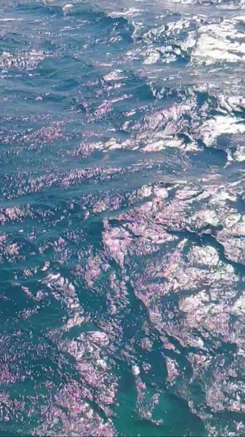 Deep blue sea water surface with gentle waves and sunlight glints slow motion 스톡 동영상 341287511