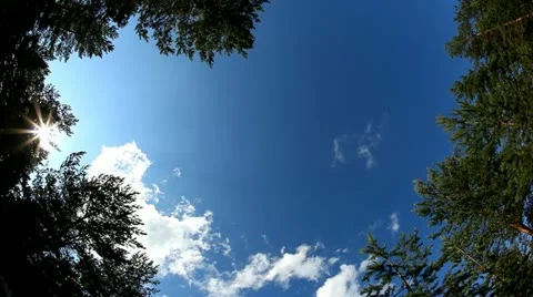Deep blue sky in green trees gap, clouds and sun timelapse shot Видео 10893698