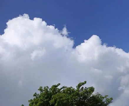 The deep blue sky with white clouds for background or texture copy space Foto stock