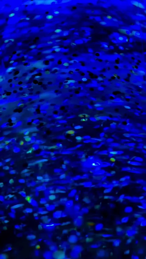 Deep Blue Sparkling Particles in 4K Slow Motion Footage Wallpaper Background Stock Footage 313359605