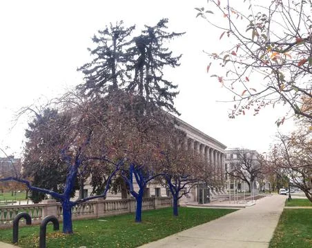 Deep blue trees Stock Photos
