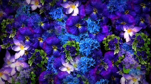 Deep blue violets flowers texture Stock Illustration