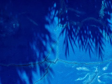 Deep Blue Wall with Dappled Tree Shadow Pattern and Faint Crack Line Stock Photos