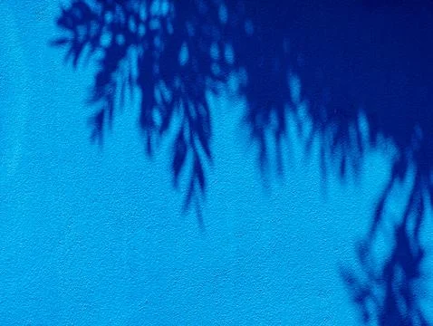 Deep Blue Wall with Dappled Tree Shadow Pattern and Faint Crack Line Stock Photos