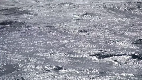 Deep blue waves in the Atlantic Ocean near to Portugal on windy day. Video stock 347552309