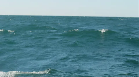Deep blue waves Vidéo 48868742