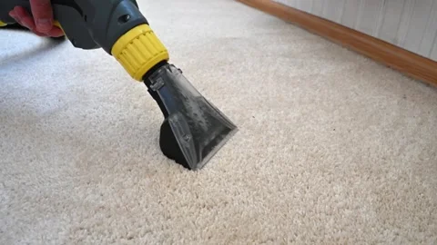 Deep carpet cleaning with vacuum extraction Stock Footage 331247909