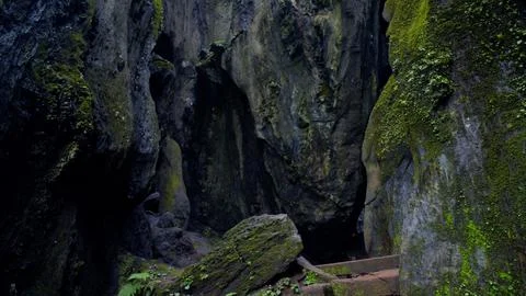 Deep cave covered in algae, Cave texture, Green moss, Rock texture Stock Photos