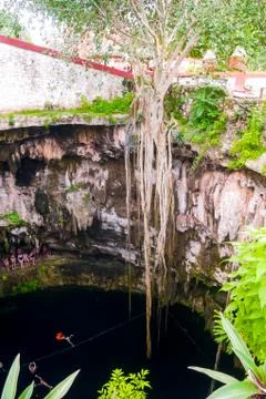 Deep Cenote Stock Photos