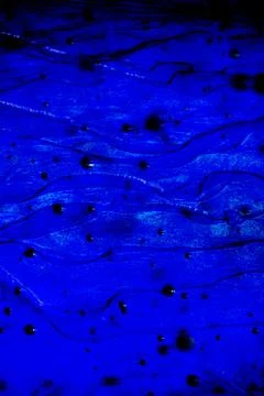 Deep Cobalt Blue Fluid Abstract Ink Liquid Texture | Mysterious Ocean Depth, Stock Illustration