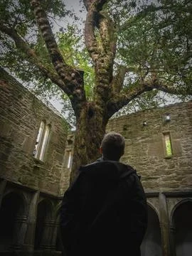 Deep Contemplation Within a Ruined Monastic Structure, Embraced by Natures Stock Photos