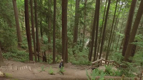 Deep Cove Hiking Trail - Cloudy Day, North Vancouver, BC 4K Stock-Footage 91368039
