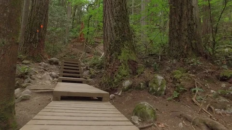 Deep Cove Hiking Trail Steps Stairs - Cloudy Day, North Vancouver, BC 4K Stock Footage 91368128