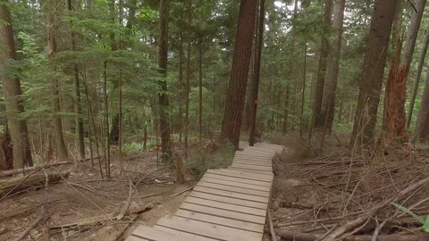 Deep Cove Hiking Trail Steps Stairs - Cloudy Day, North Vancouver, BC 4K Stock Footage 91368187