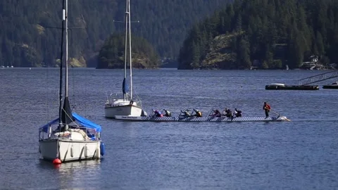 Deep Cove Kayak Stock Footage 172116709