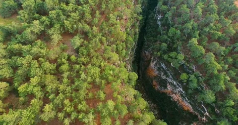 Deep Crack Inside Forest Stock Footage 147066504