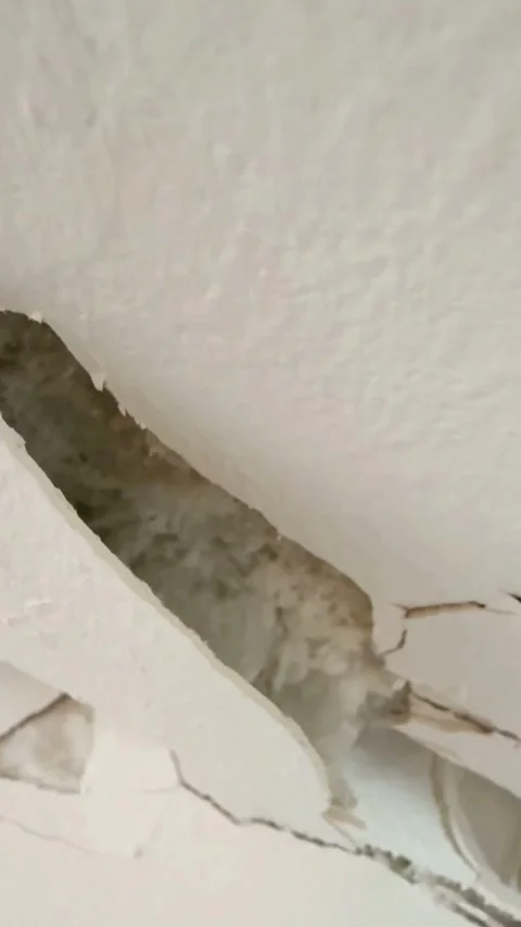 Deep cracks and crumbling plaster on a damaged ceiling Video stock 331980271