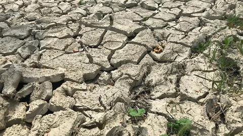 Deep cracks in the dried up soil Stock Photos