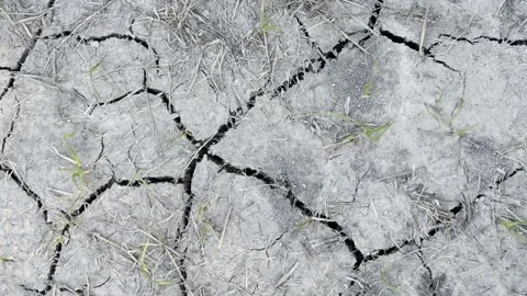 Deep Cracks in Dry Mud Ground Video stock 344807546