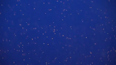 Deep Dark Blue Sea Ocean Water Background with Yellow Dust of Dots Stock Footage 251457786
