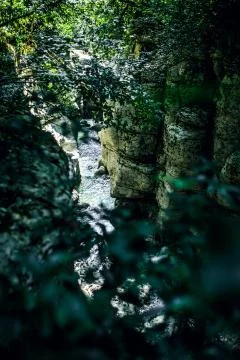 Deep dark forest river stream landscape. rocks river 库存照片