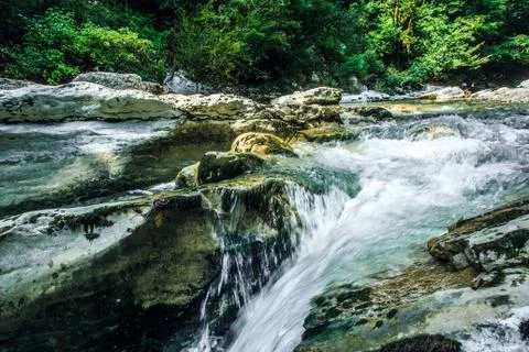 Deep dark forest river stream landscape. rocks river Photos
