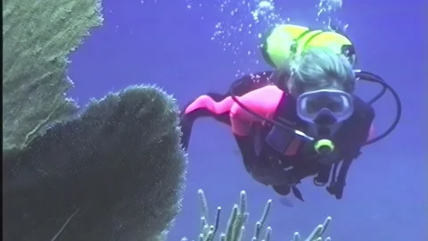 DEEP DIVE Video stock 306544871