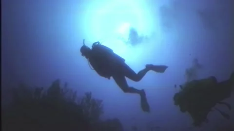 DEEP DIVE SILHOUETTE Stock Footage 306557589