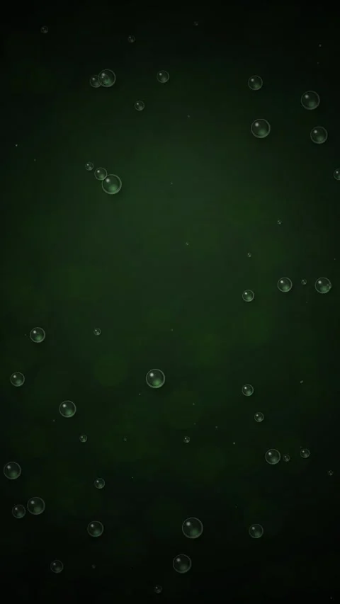 Deep emerald bokeh background with glowing floating bubbles animation Stock Footage 345497823